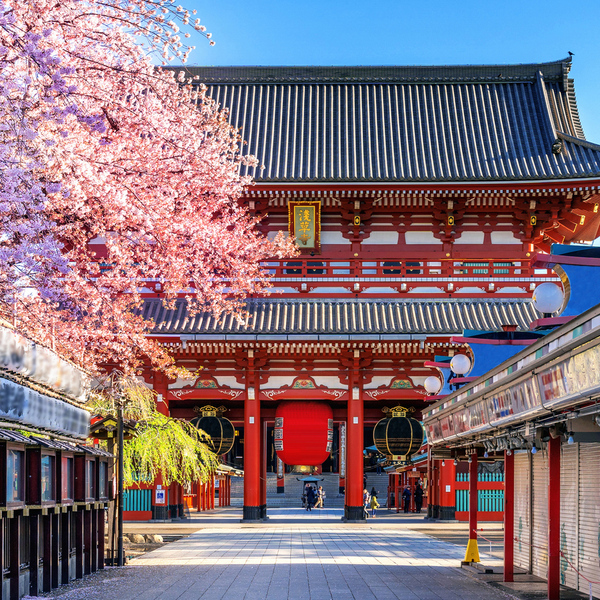 THY ile Tüm Turlar Dahil Japonya Turu 6 Gece