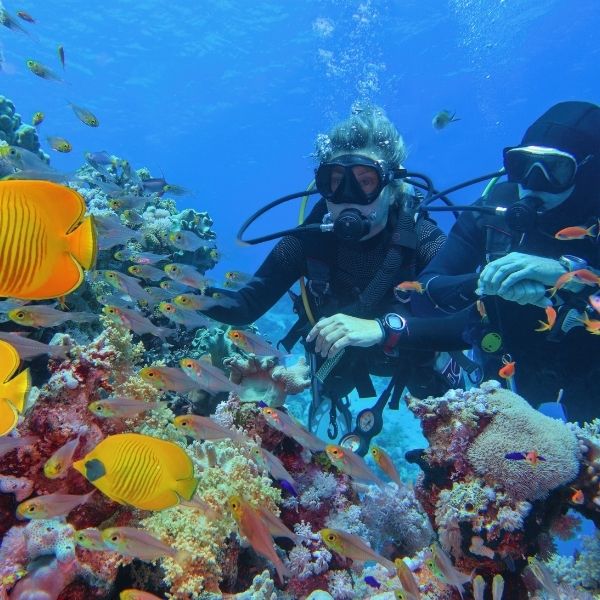 İstanbul Çıkışlı Sharm El Sheikh Turu 4 Gece 5 Gün - Her Şey Dahil Konaklama