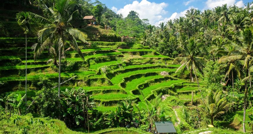 Bali Ubud Kuala Lumpur Turu 6 Gece - Tüm Turlar Dahil