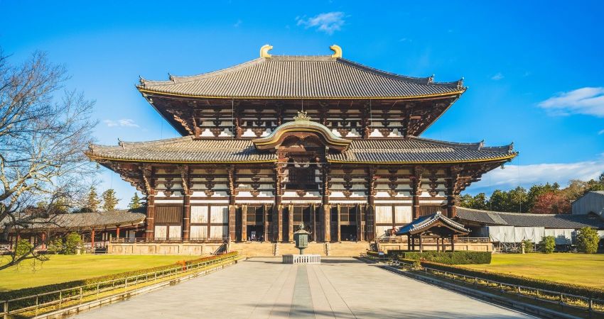 Japonya Turu All Nippon HY ile 6 Gece