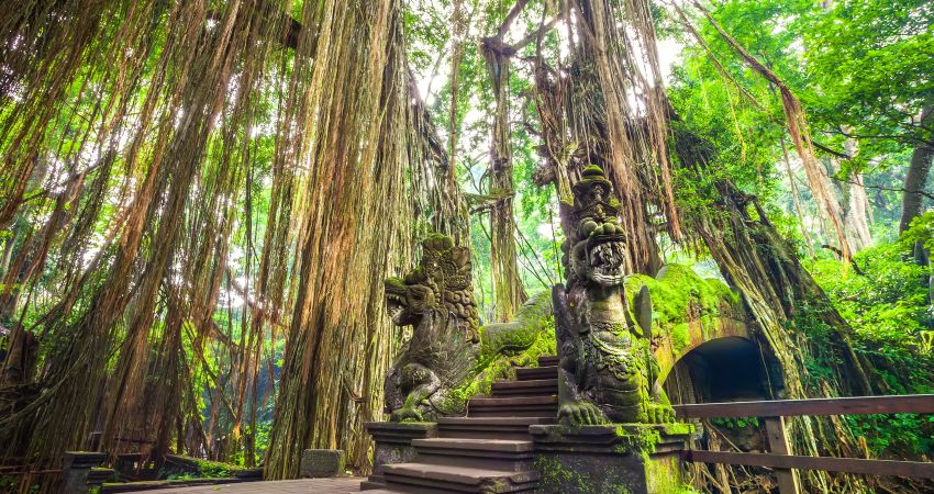 Bali Turu THY ile 5 Gece Konaklamalı - Tüm Turlar Dahil