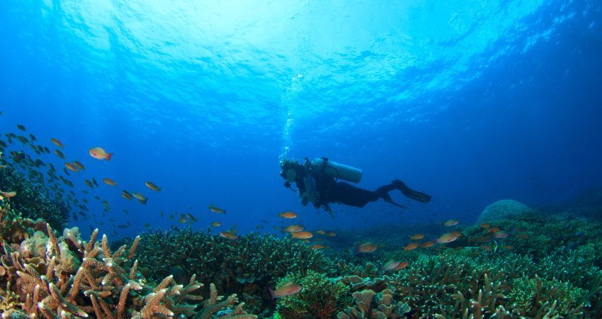 İstanbul Çıkışlı Sharm El Sheikh Turu Ajet ile 4 Gece - Her Şey Dahil Konaklama