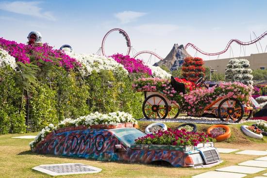 Miracle Garden Turu