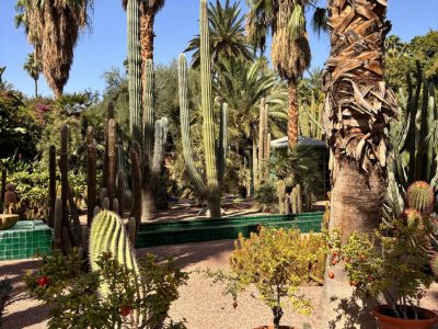 Majorelle Bahçesi + Bahia Sarayı + Marakeş Medinası & Alışveriş Turu